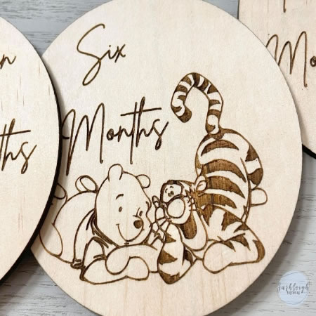 Winnie the Pooh Milestone Discs