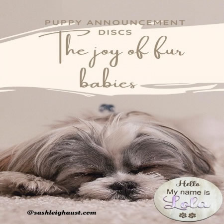 Dog Announcement Discs