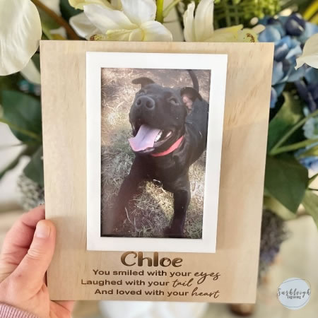 Pet Memorial Frame