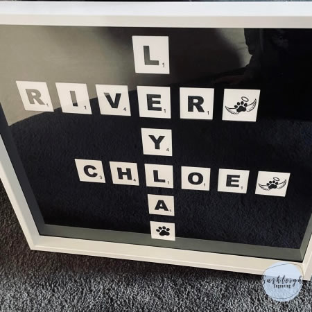 Pet Names in Frame