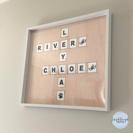 Pet Names in Frame