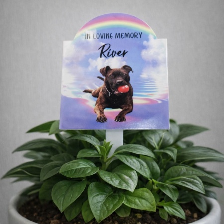 Personalised Pet Memorial Garden Stake – Custom Acrylic Remembrance Marker