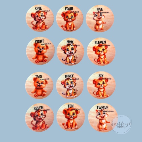 Milestone Disc - Set of 6 Double Sided