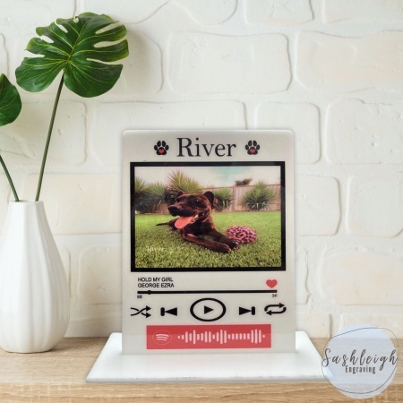 Pet Spotify Plaque