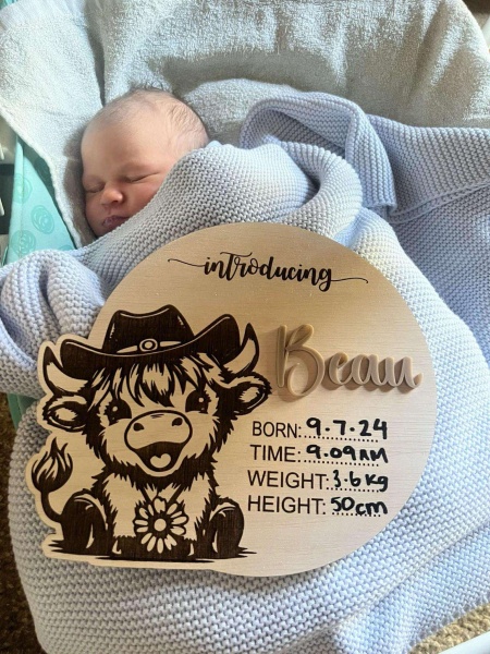 Baby Announcement - Highland Cow