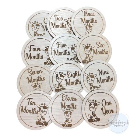 Baby Milestone Discs