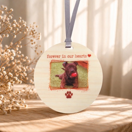 Pet Memorial Ornament - Forever in our Hearts