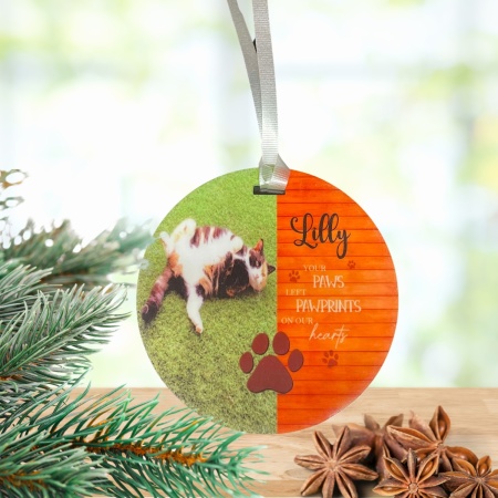 Pet Memorial Ornament - Your paws left pawprints