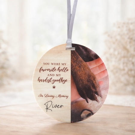 Pet Memorial Ornament - You were my favourite Hello