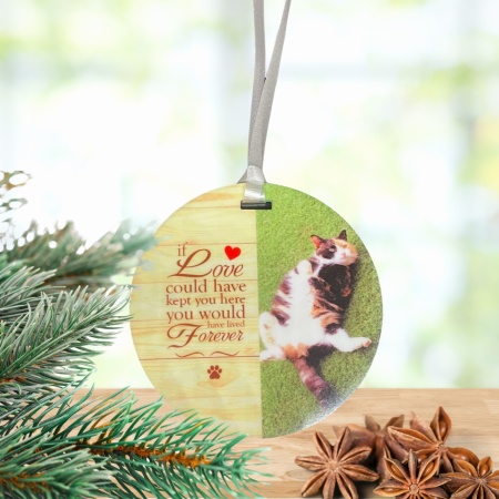 Pet Memorial Ornament - If love could have kept you