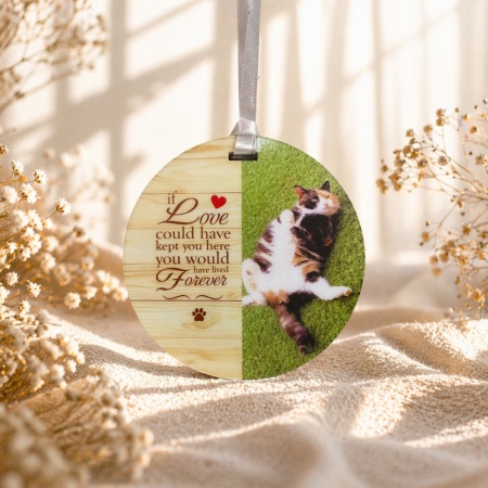 Pet Memorial Ornament - If love could have kept you