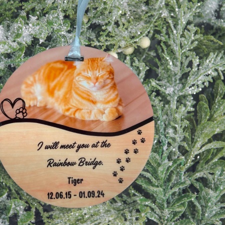 Pet Memorial Ornament - Meet you at the Rainbow Bridge