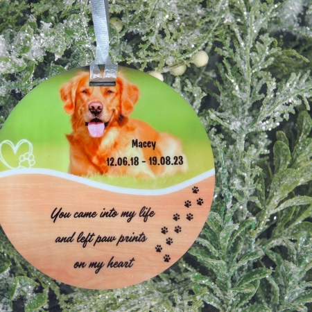Pet Memorial Ornament - Left Paw Prints