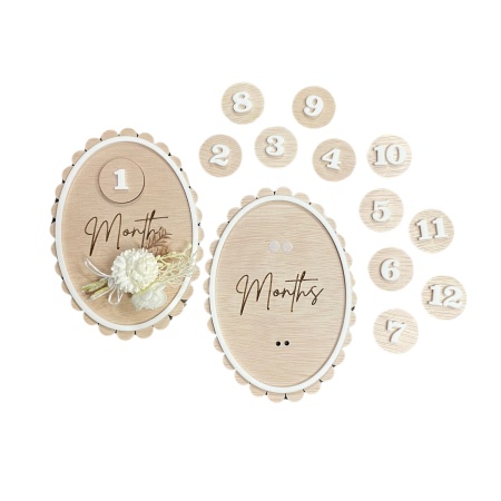 Baby Milestone Disc 1-12months