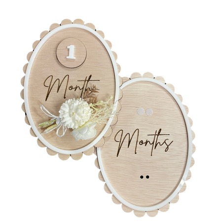 Baby Milestone Disc 1-12months