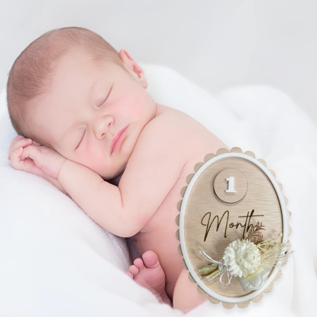 Baby Milestone Disc 1-12months