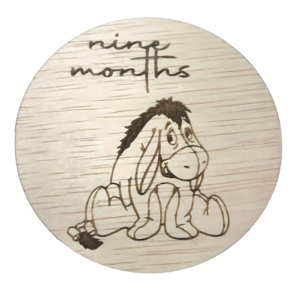 Winnie the Pooh Milestone Monthly Discs