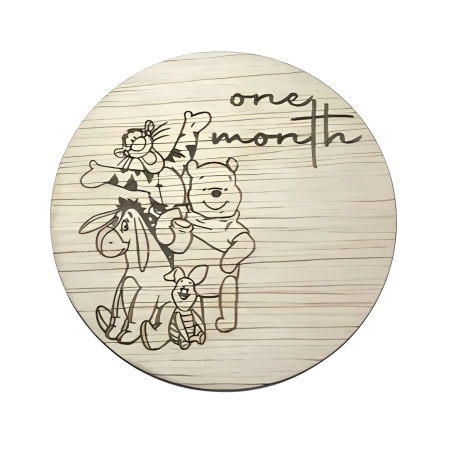 Winnie the Pooh Milestone Monthly Discs